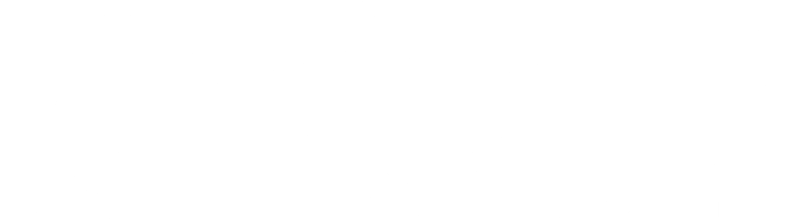 Solution Provider